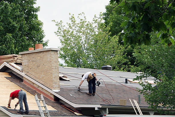 Best Metal Roofing Contractor  in Manteno, IL